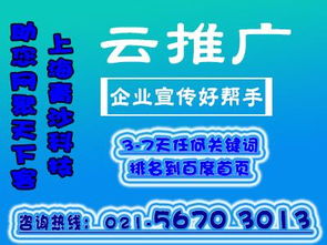 互聯(lián)網(wǎng)營(yíng)銷(xiāo)產(chǎn)品運(yùn)營(yíng)思路 從選品到推廣的完整策略